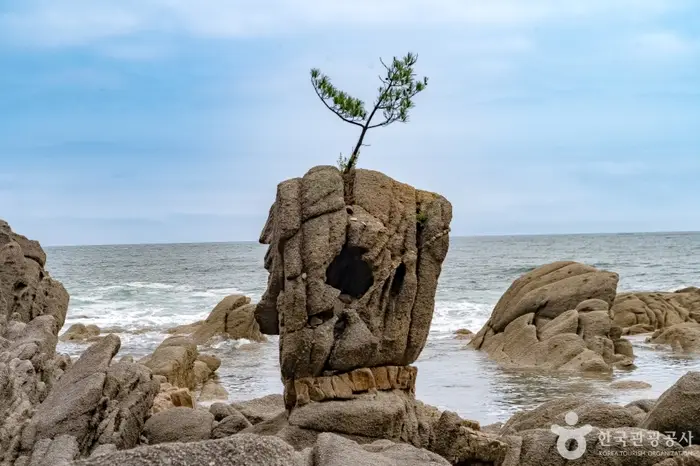 송지호해안 서낭바위 (강원평화지역 국가지질공원) · 관광지