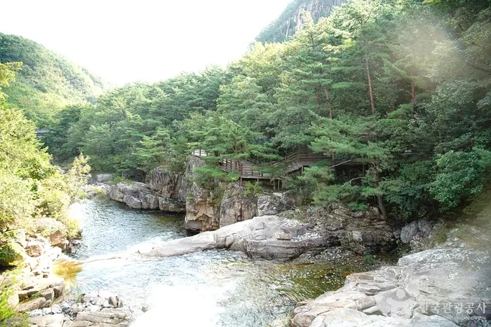 무릉계곡 힐링캠핑장 · 레포츠