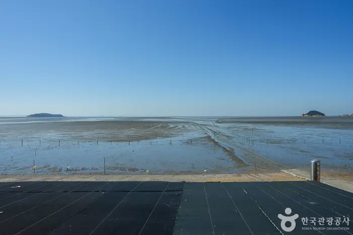 마시안갯벌체험장 · 관광지