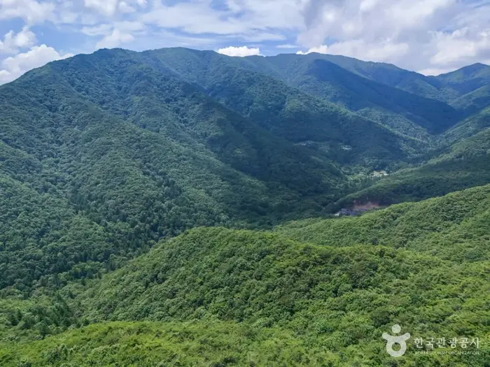 운달산 · 관광지