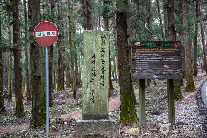 봉명산시립공원 · 관광지