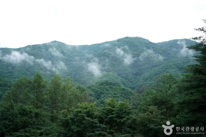 선달산(영월) · 관광지