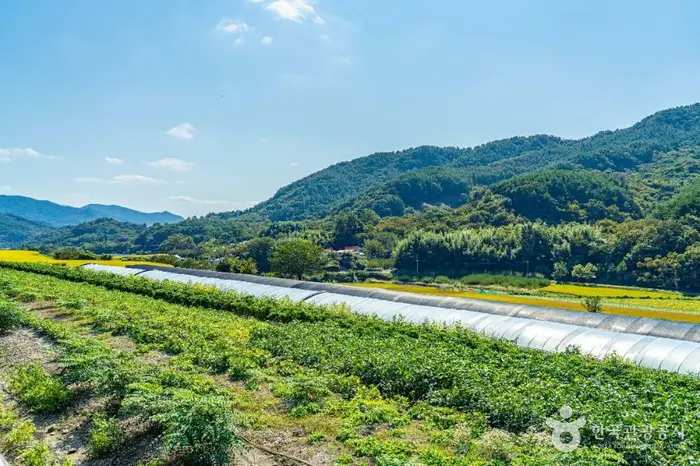 서당마을 · 관광지