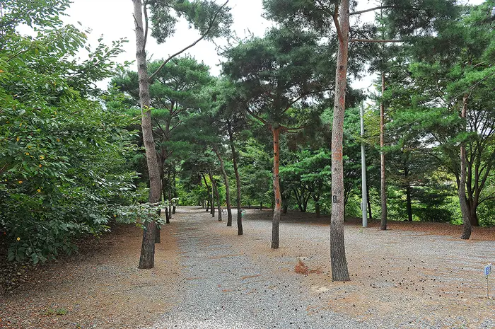 계곡과소나무 펜션 · 숙박