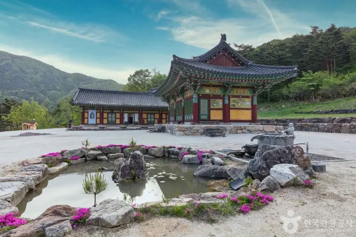 진전사 · 관광지