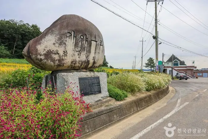 여주 오감도토리마을 · 관광지