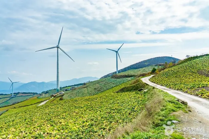 매봉산풍력발전단지(바람의 언덕) · 관광지