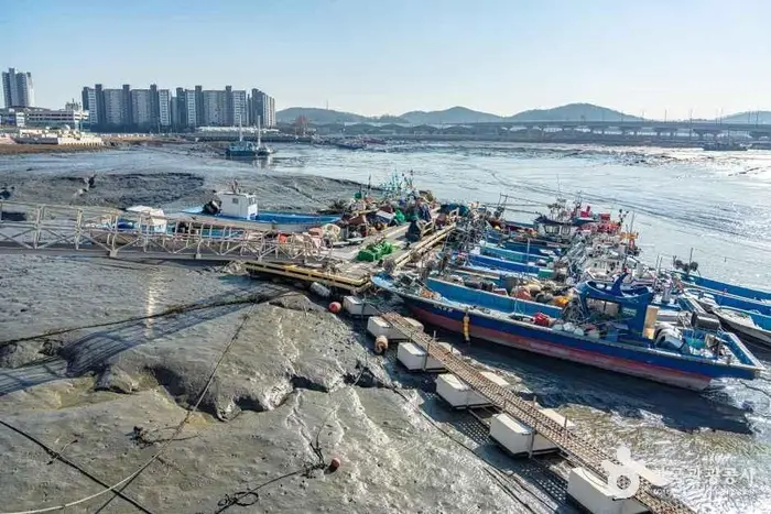월곶포구 · 관광지