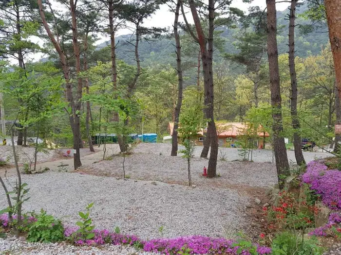 아리솔캠핑장 · 레포츠