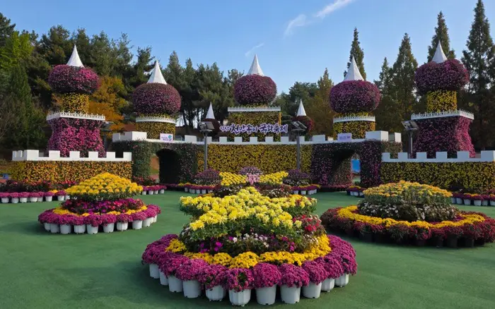 익산천만송이 국화축제 포스터 사진 2