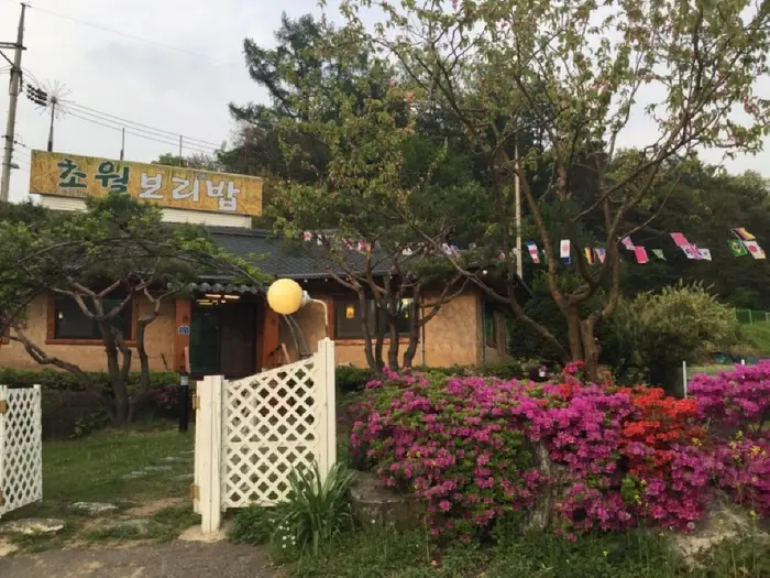 초월보리밥 · 음식점