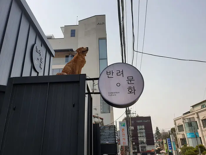 반려문화 · 음식점