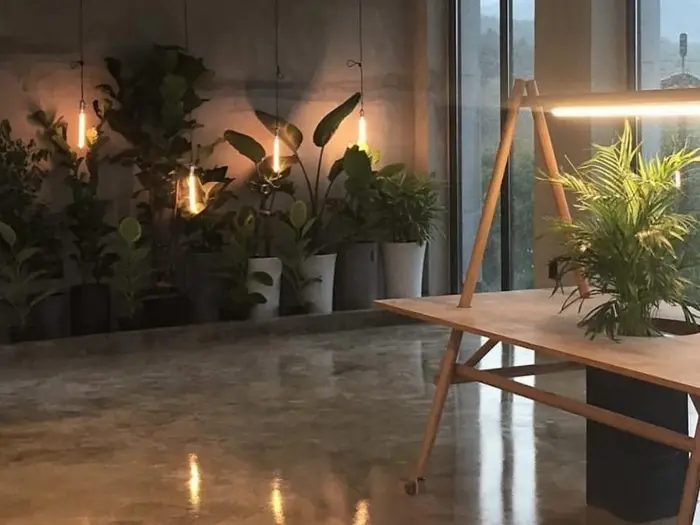 야드 · 음식점