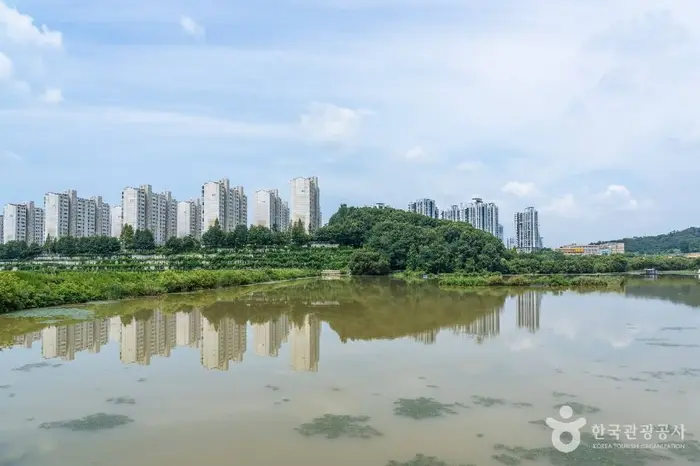 월랑저수지 · 관광지