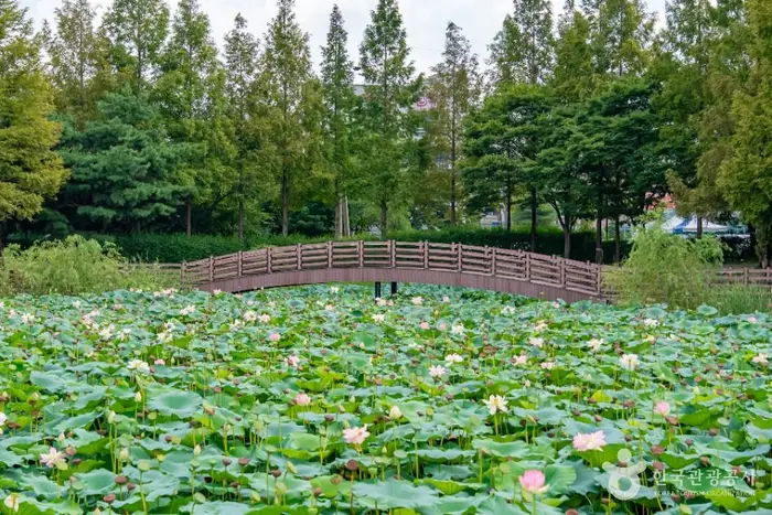 봉담호수공원 · 관광지