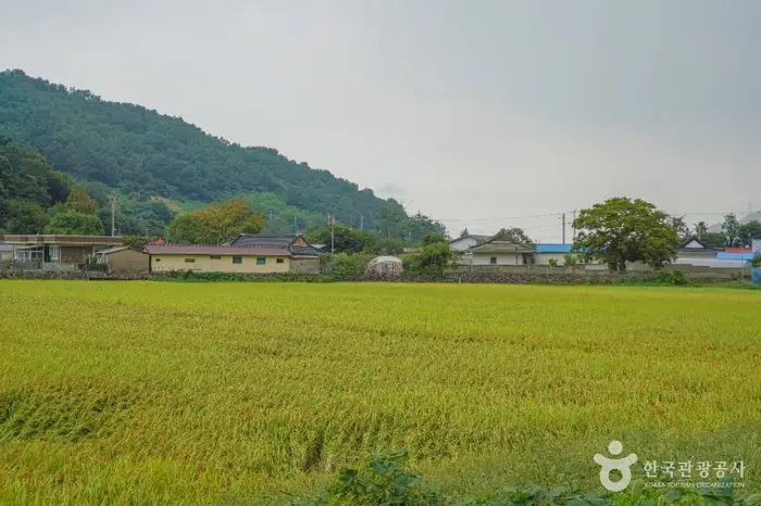 대초마을 · 관광지