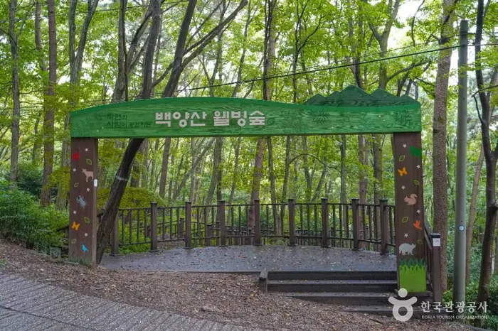 백양산 웰빙숲 · 관광지