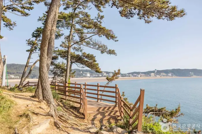 뭍닭섬 산책로 · 관광지