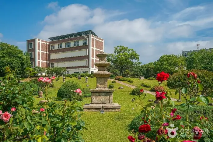 경북대학교박물관 · 문화시설