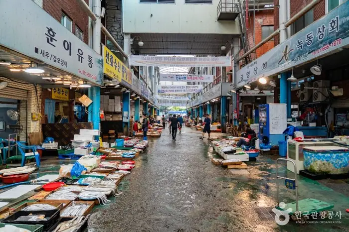 중앙선어시장 · 쇼핑