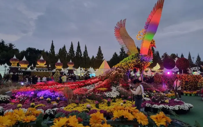 익산천만송이 국화축제 포스터 사진 4