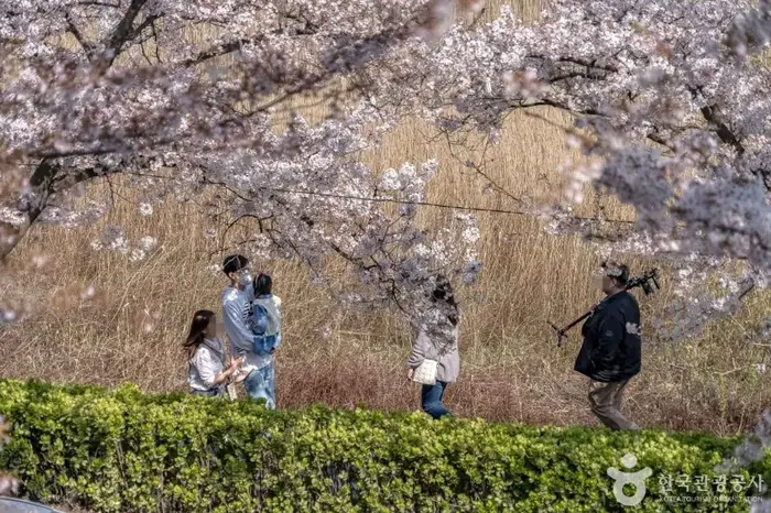 경포도립공원 · 관광지