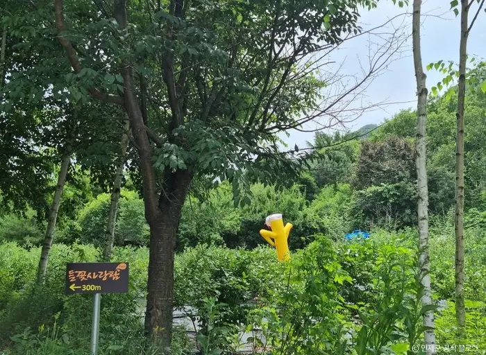 인제 냇강마을 · 관광지