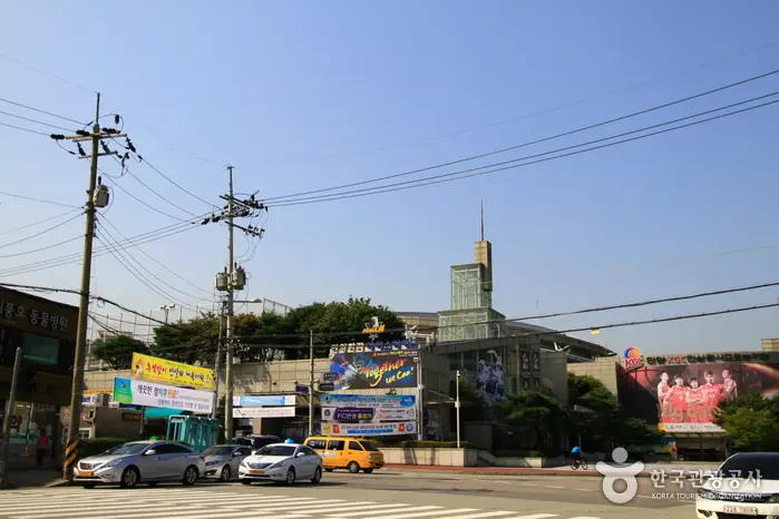 안양종합운동장수영장 · 레포츠