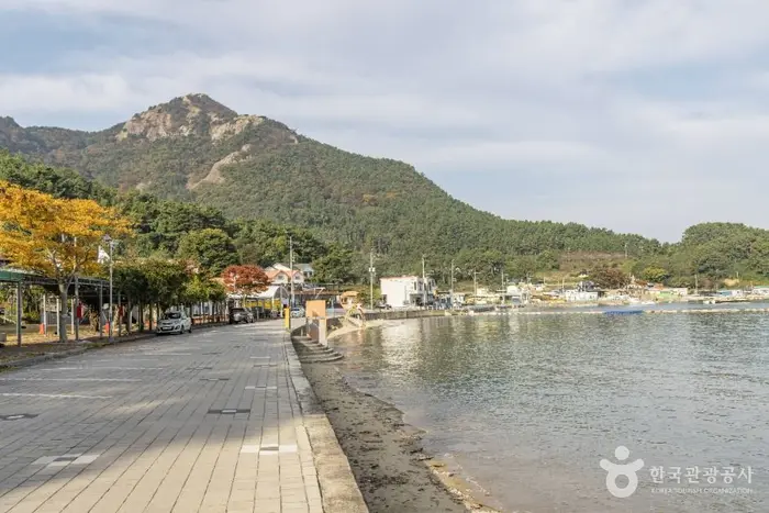 대항해수욕장 · 관광지