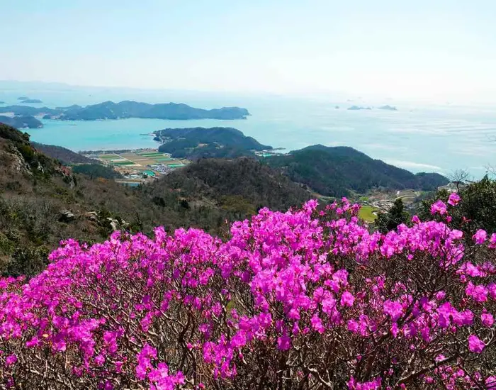 여귀산 · 관광지