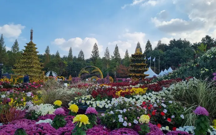 익산천만송이 국화축제 포스터 사진 6