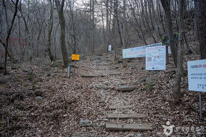 유명산 · 관광지