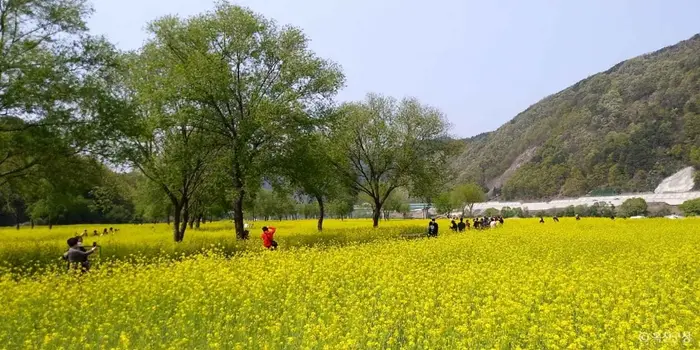 옥천금강수변 친수공원 · 관광지