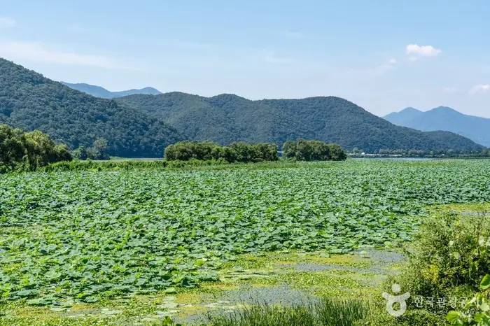 경안천 습지생태공원 · 관광지