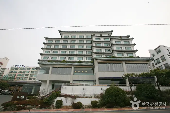 호텔일루아 · 숙박