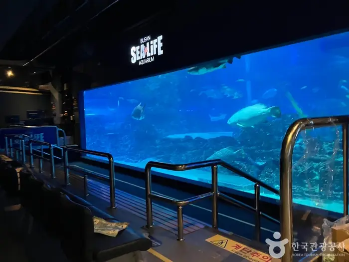 씨라이프부산아쿠아리움 · 관광지