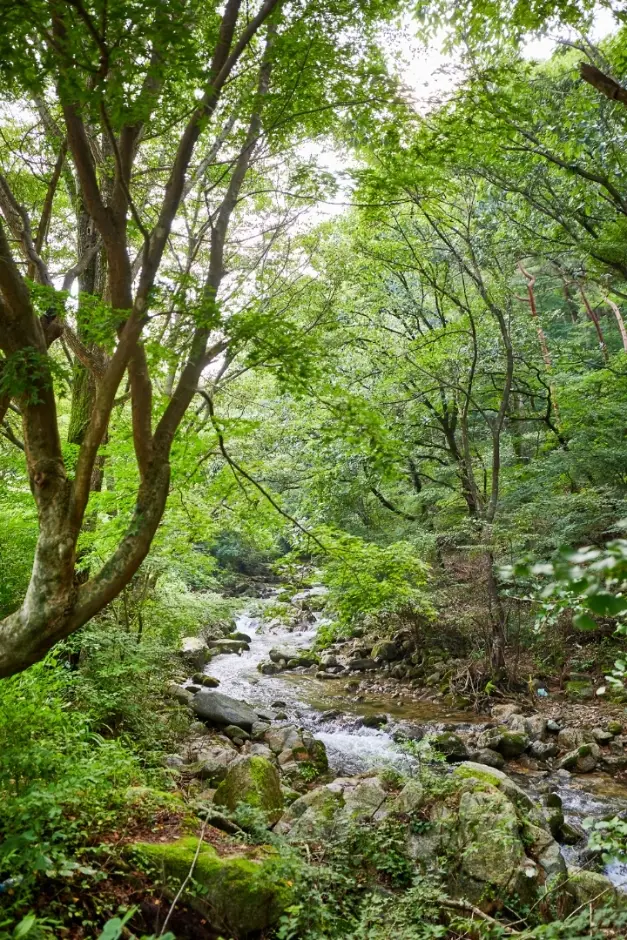 모악산도립공원 · 관광지