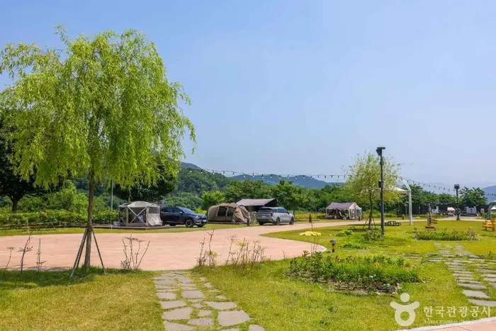 금호강 오토캠핑장 · 레포츠