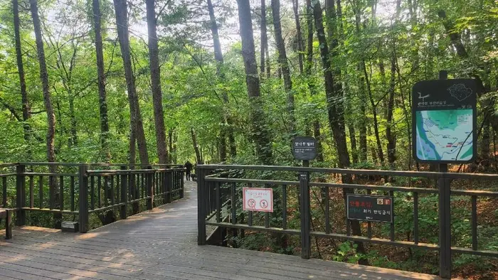 관악산 무장애숲길 · 레포츠