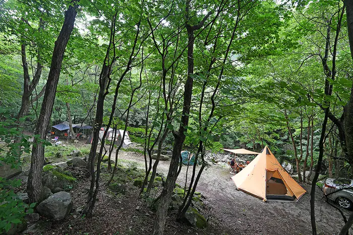 용추자연휴양림야영장 · 레포츠