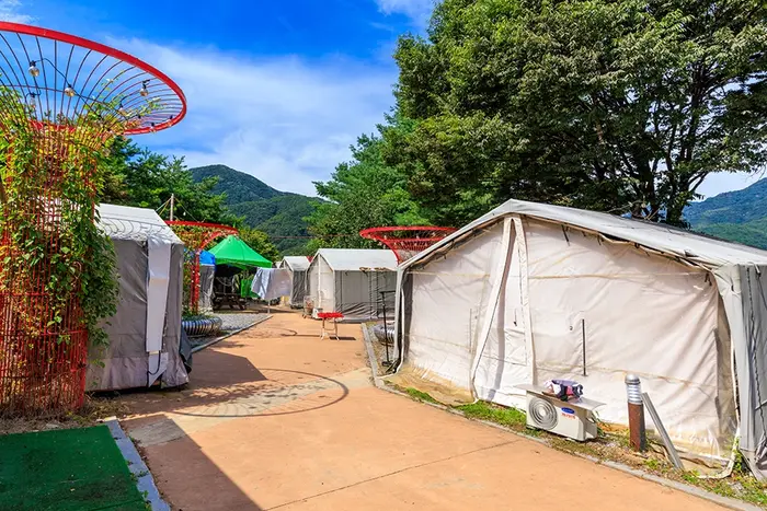 젠틀펫파라다이스 · 레포츠