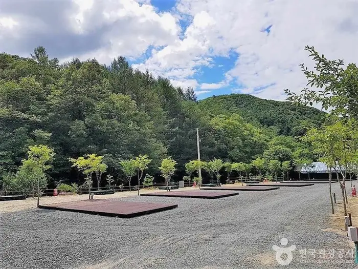 풀무산캠핑장 · 레포츠