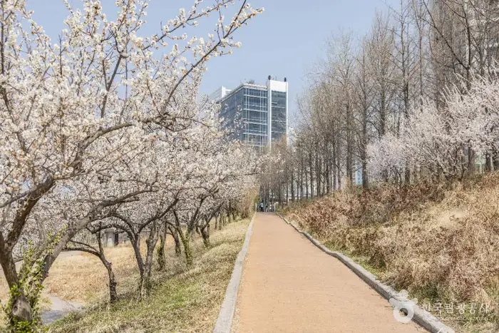 하동매실거리 · 관광지