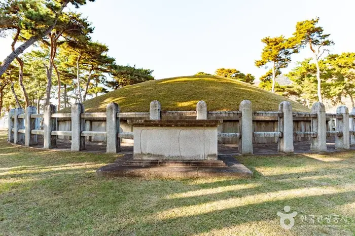 경주 헌덕왕릉 · 관광지