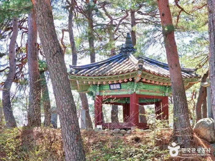 학무정 · 관광지