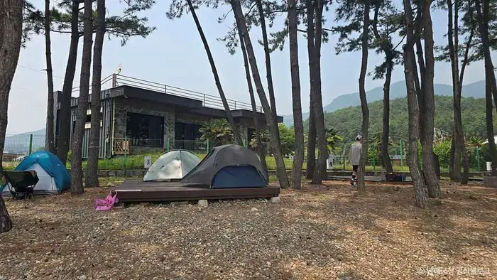 월포해수욕장야영장 · 레포츠