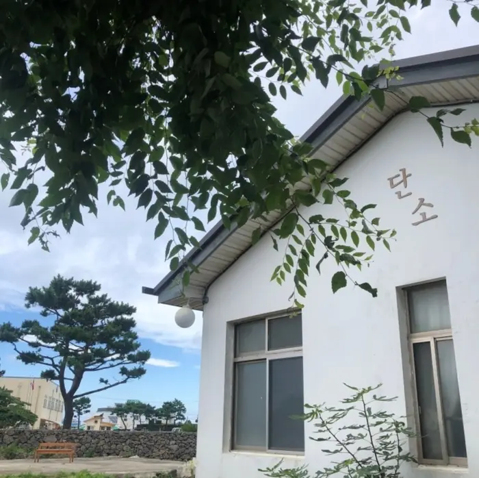 단소 · 음식점