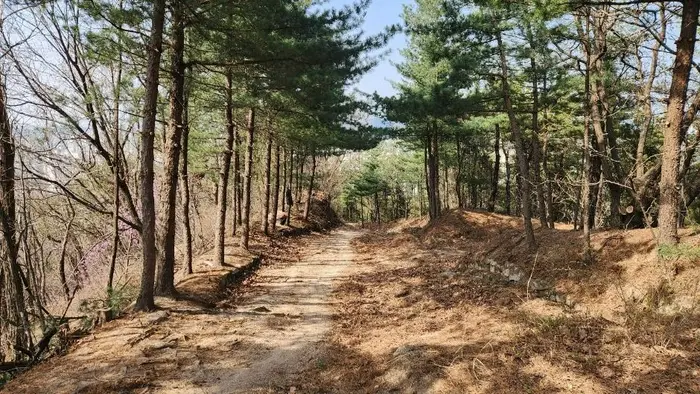 장암숲늘품길 · 관광지