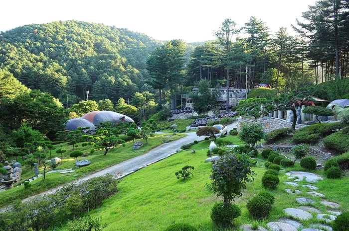 수목원프로방스 캠핑장 · 레포츠