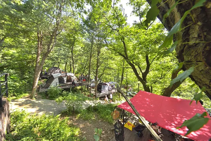 호명산캠프 · 레포츠